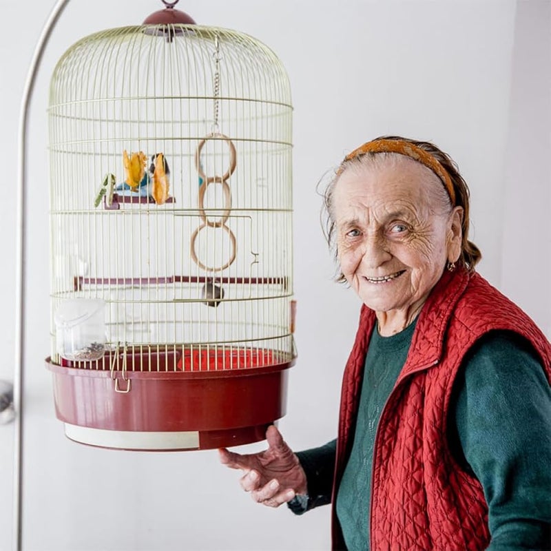 VICASKY 4 قطع وحدة تغذية الدواجن البلاستيكية حوض مقاوم للانسكاب للحمام والدجاج - Image 4